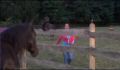dr dolittle 3-avi_998.jpg